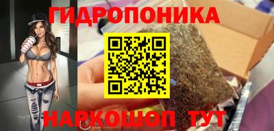 гидра Краснокаменск