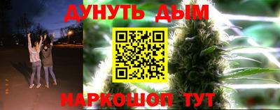 гидра Краснокаменск