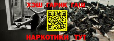 Альфа ПВП Краснознаменск