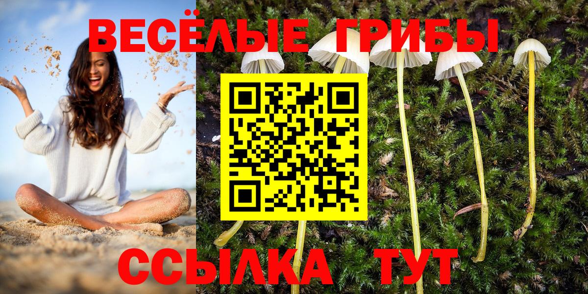 Галлюциногенные грибы прущие грибы Грязи