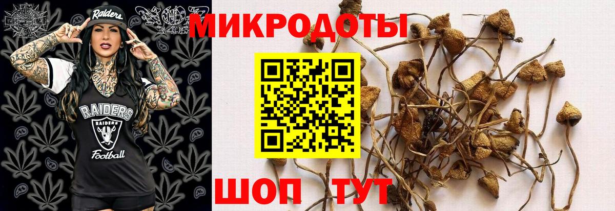 Галлюциногенные грибы MAGIC MUSHROOMS  Вход с VPN  Грязи 