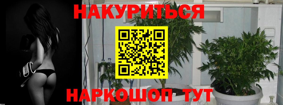 Грязи  Марихуана конопля  Шишки марихуана тримм  Вход с VPN 